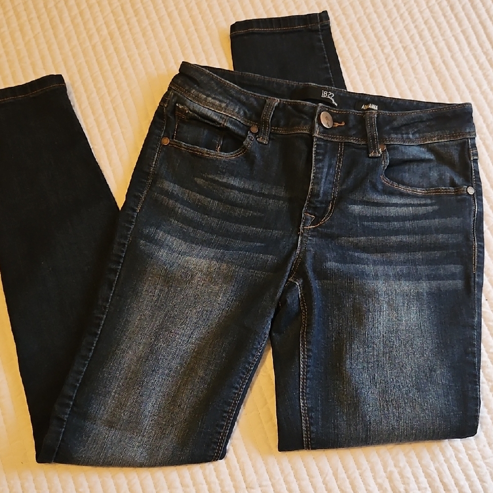 1822 Denim Dark Wash Skinny Jeans